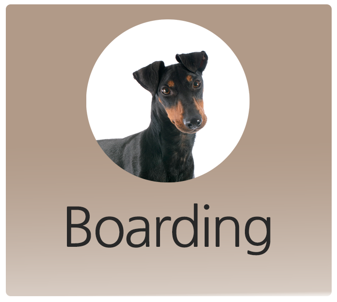 Boarding